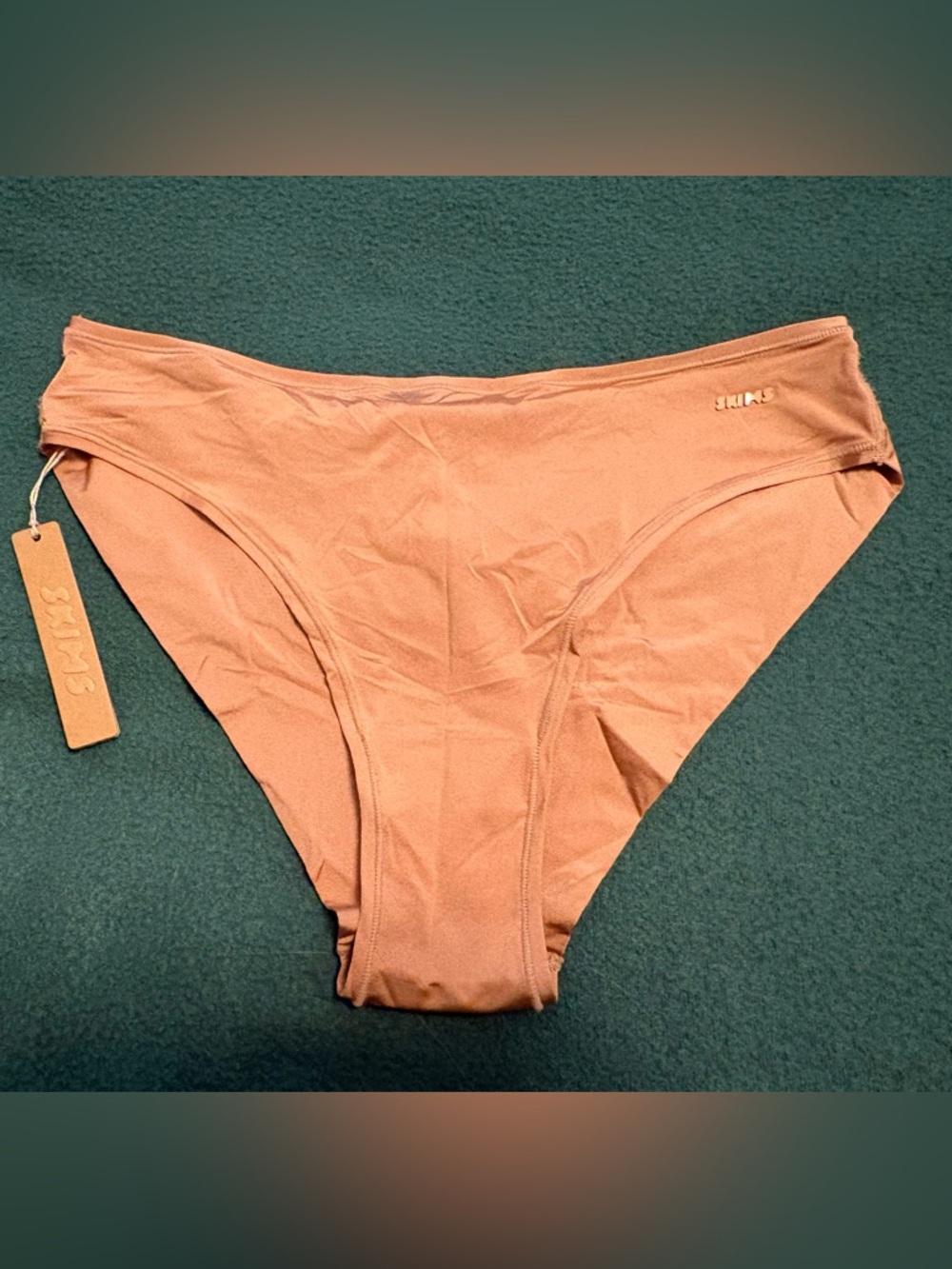 SKIMS Nude Bikini Panty